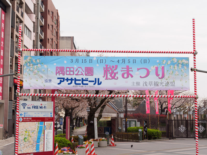 隅田公園_桜まつり