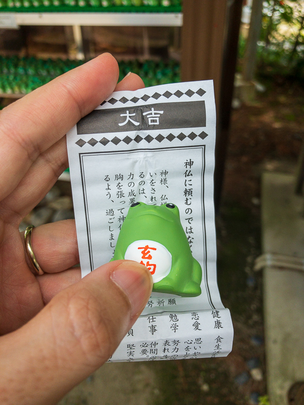 三社神社のカエルのおみくじ