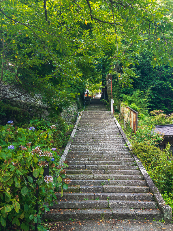 金櫻神社の参道