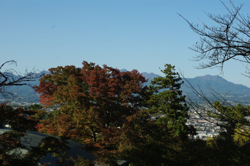 達磨寺の境内の紅葉２