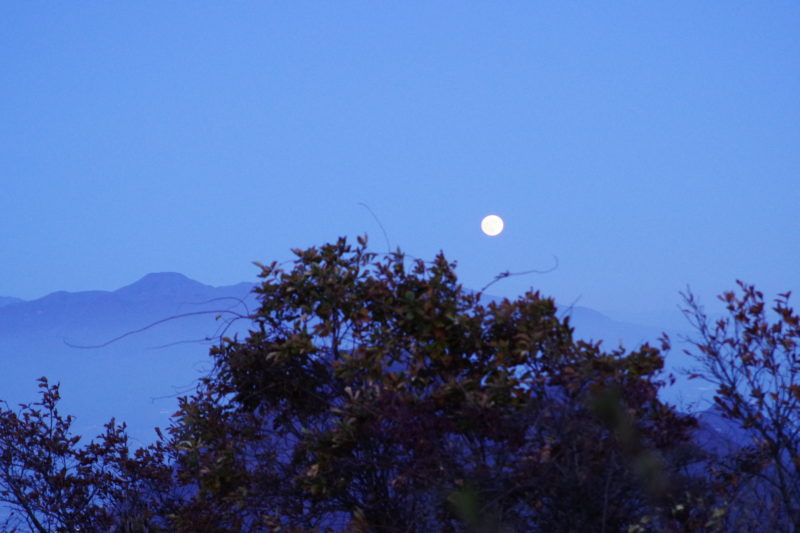 富士山神社からみる満月