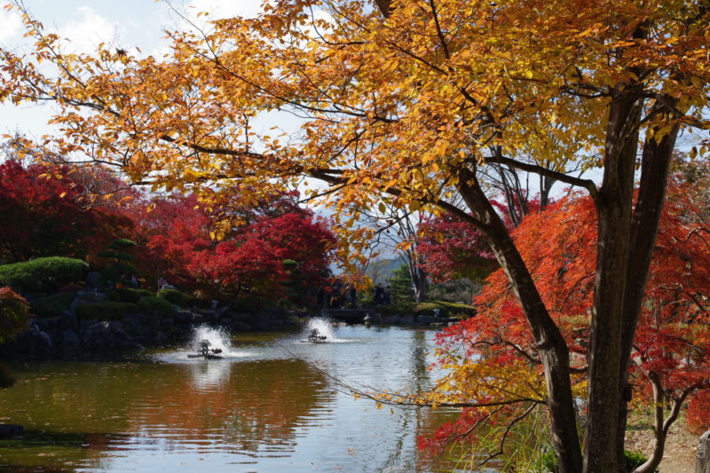 桜山公園の日本庭園と紅葉１