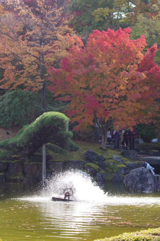 桜山公園の日本庭園と紅葉２