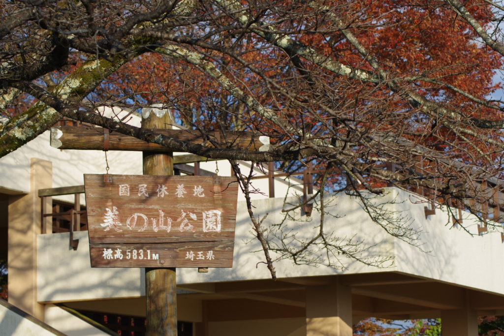 美の山公園の紅葉３