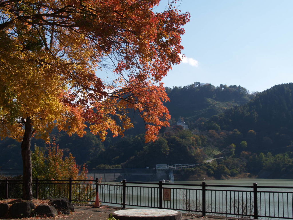 神流湖の紅葉１