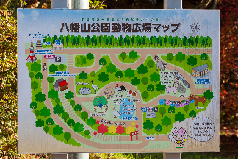 八幡山公園_動物広場マップ