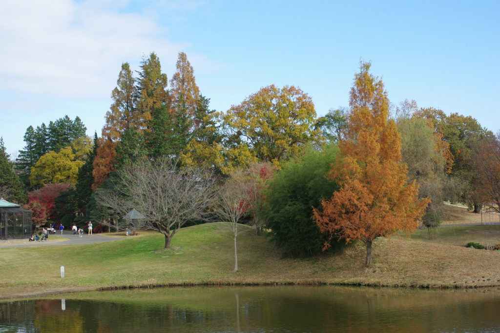 古河公方公園_紅葉３