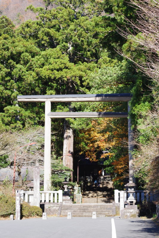 赤城神社_鳥居