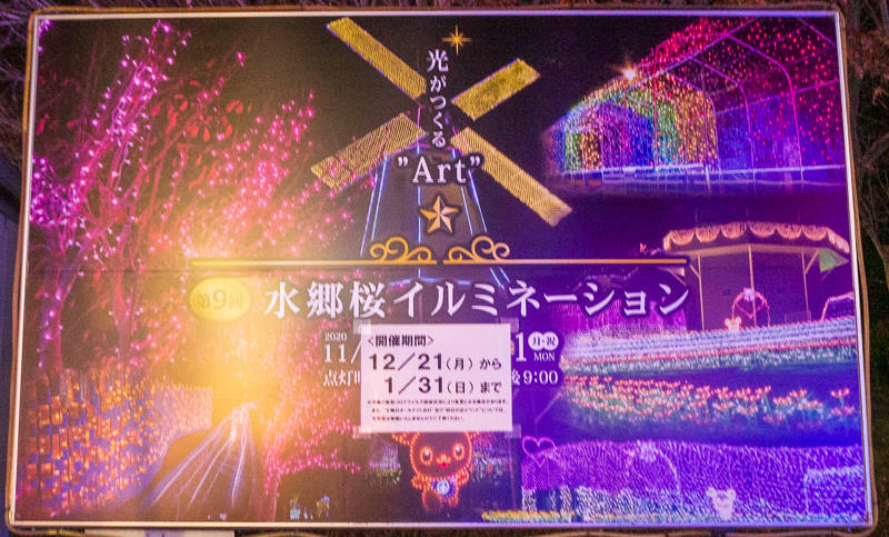 霞ヶ浦総合公園_イルミネーション１