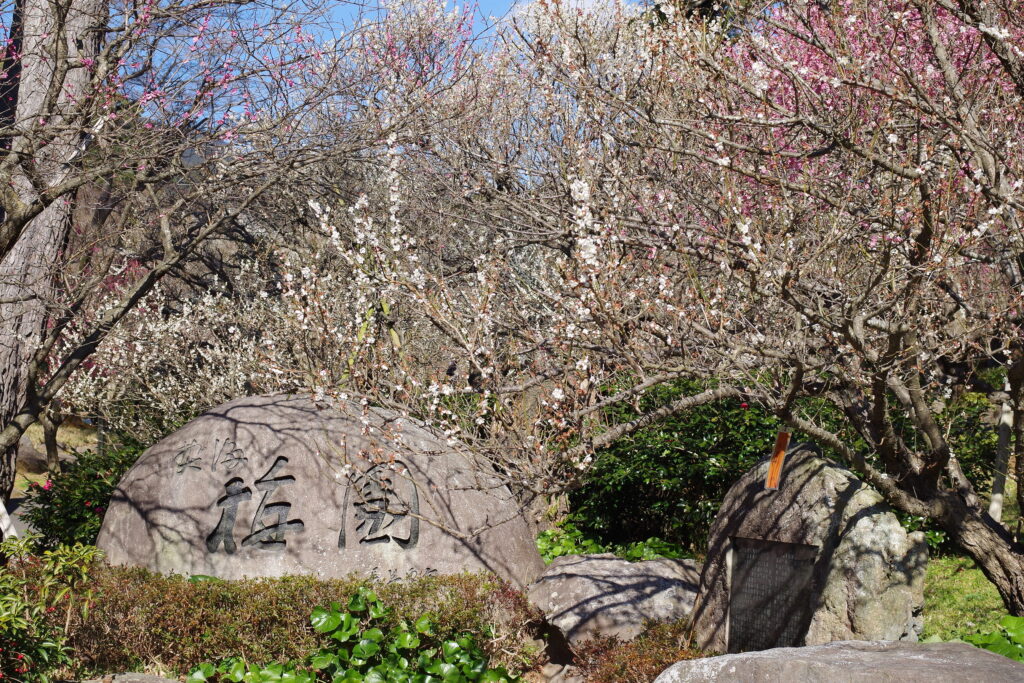 熱海梅園０１