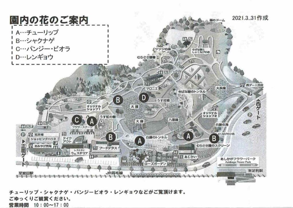 あしかがフラワーパーク_園内の花の案内