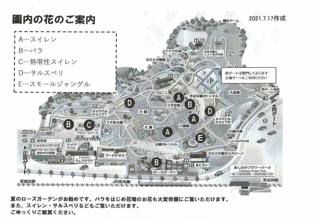 あしかがフラワーパーク_園内の花の案内