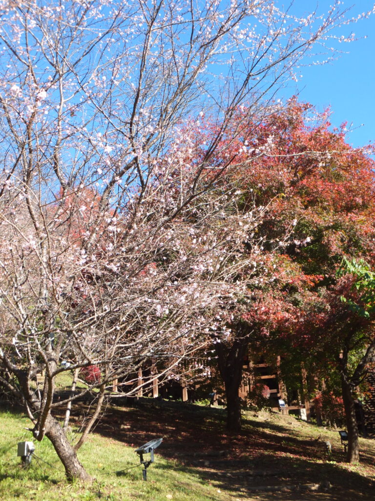 城峯公園_０３