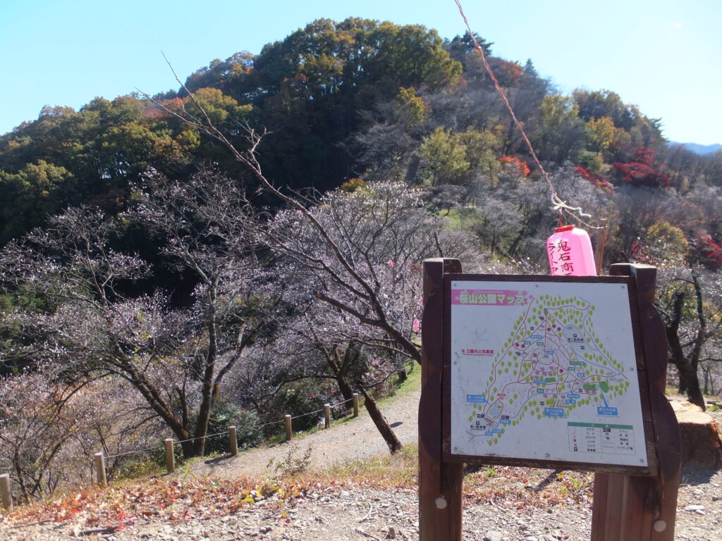 桜山公園_０３