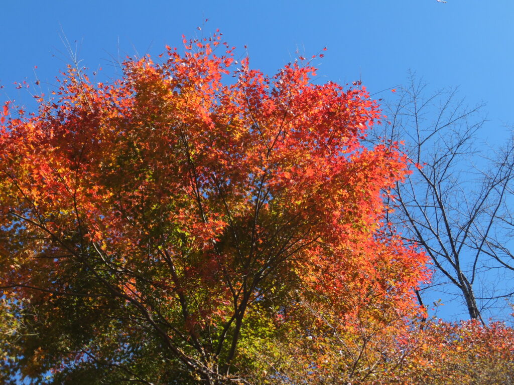 桜山公園_０４