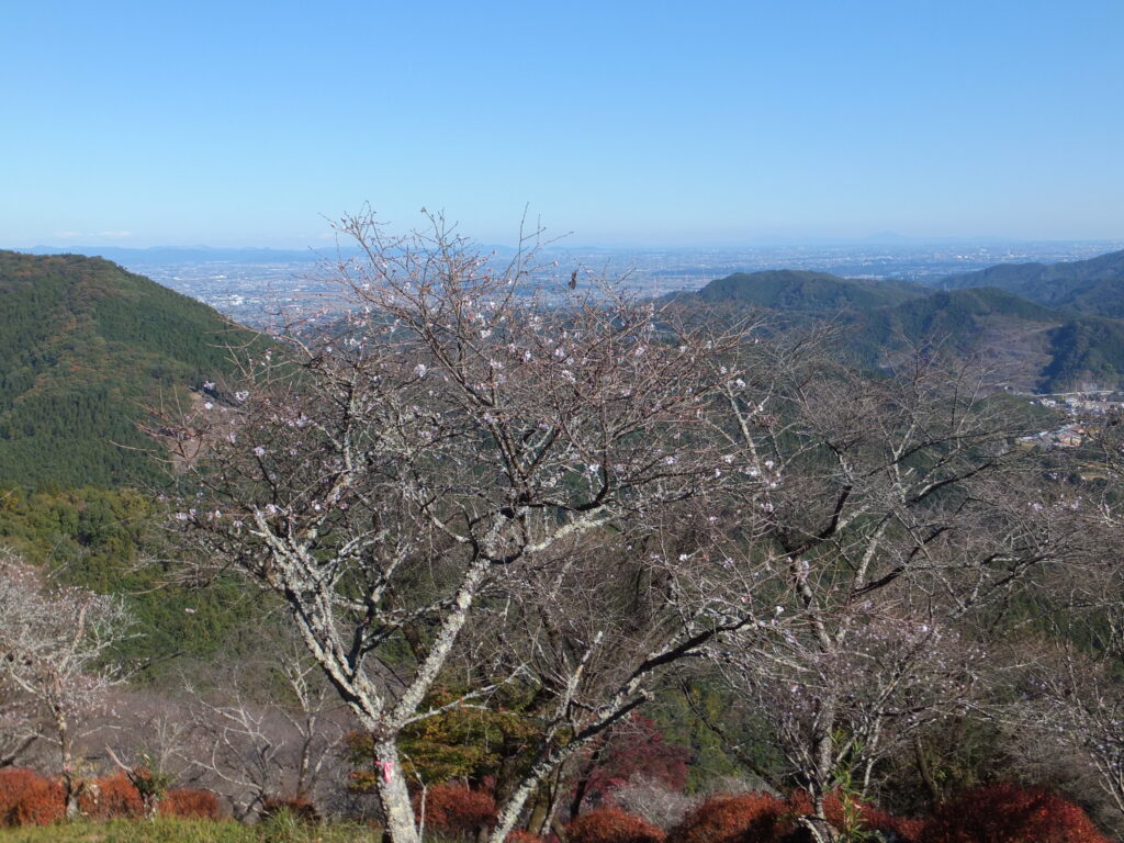 桜山公園_０６