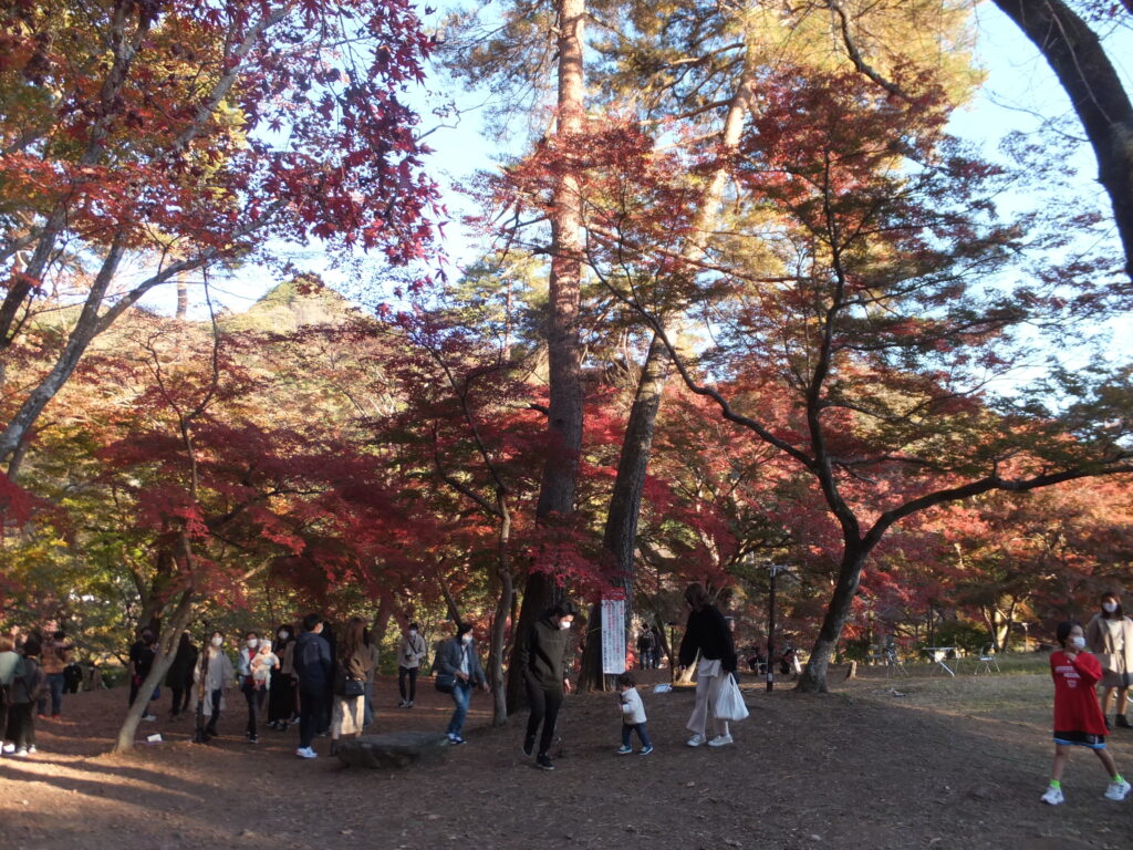 月の石もみじ公園_０２