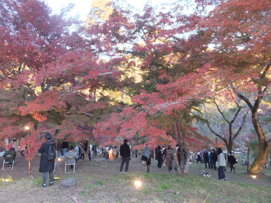 月の石もみじ公園_０５