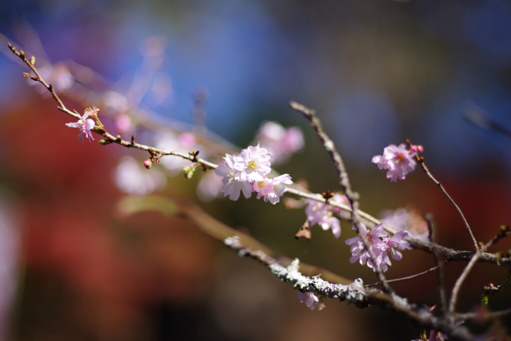 城峯公園_０４