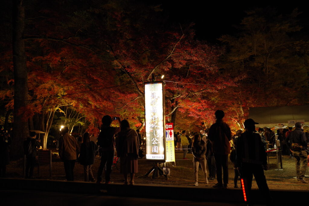 月の石もみじ公園_夜_０１