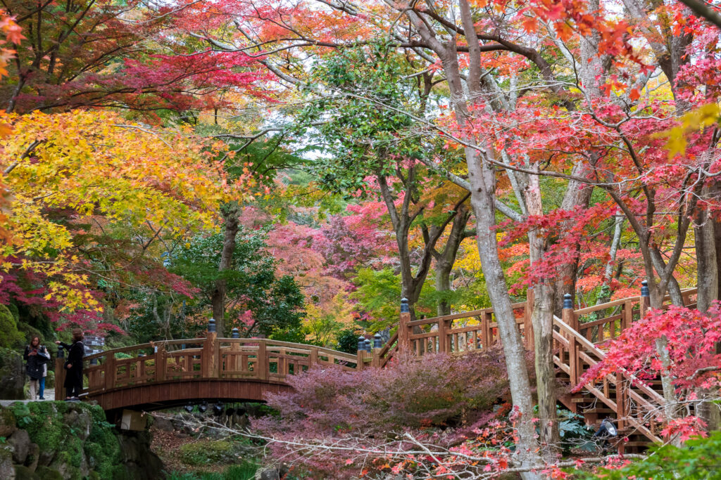 熱海梅園_０３