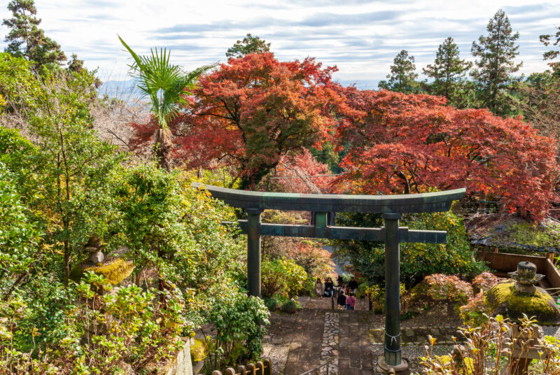 太平山神社_12