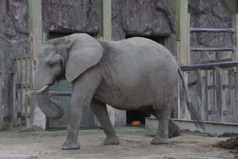 東武動物公園_０８