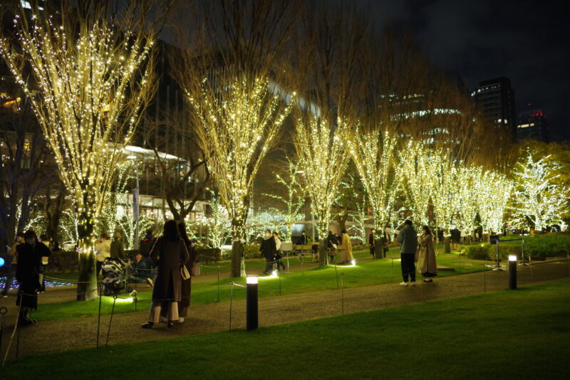 MIDTOWN-WINTER-LIGHTS_１３
