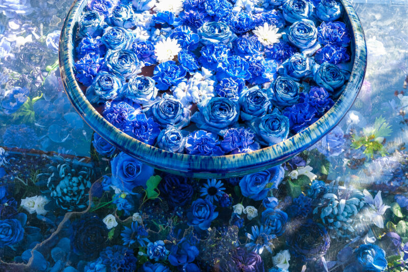 あしかがフラワーパーク_花手水01
