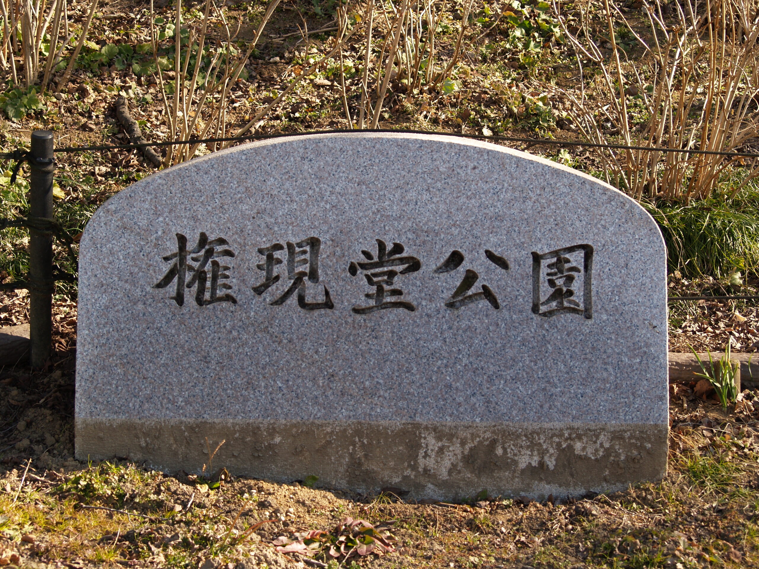 幸手権現堂桜堤
