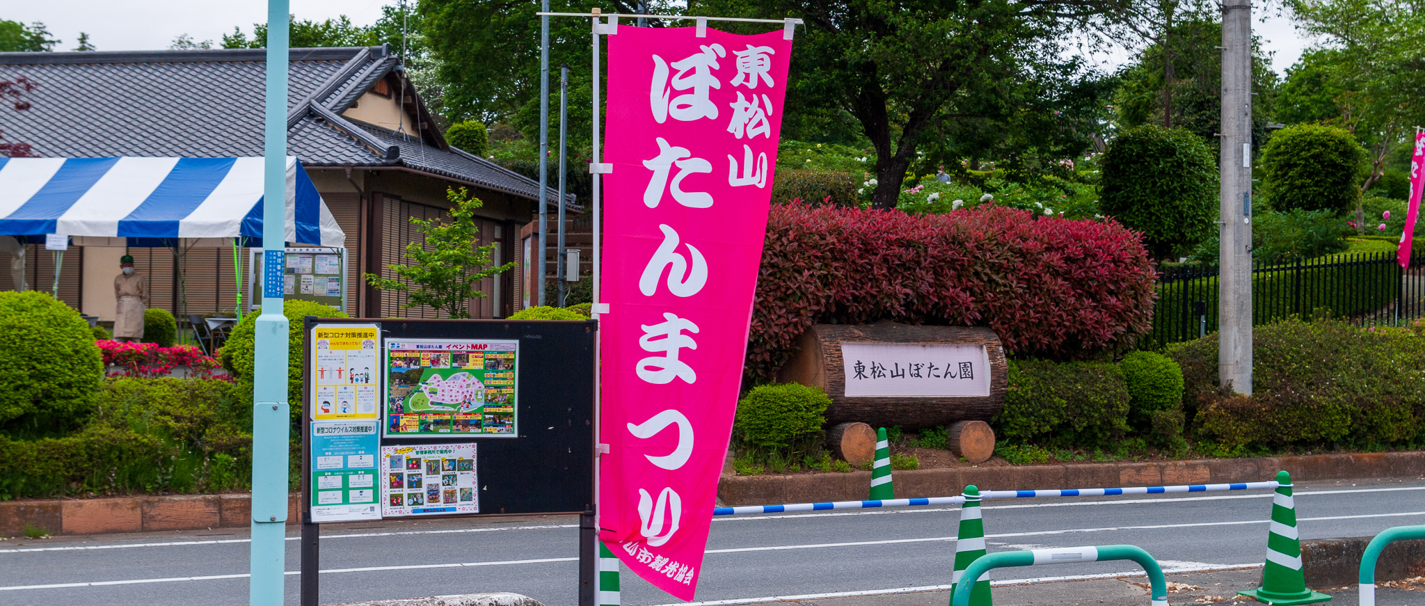 2022_東松山ぼたんまつり１