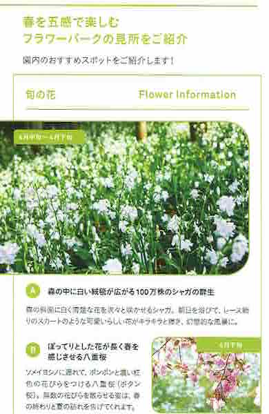SEASONAL NEWS 2022 Vol3_2