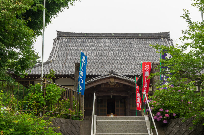 20220618_金泉寺３