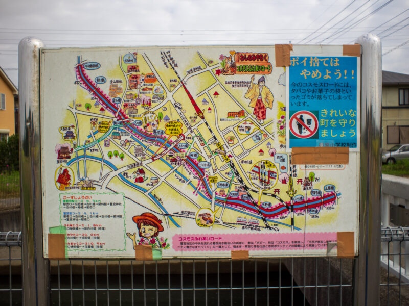 20221016_コスモスふれあいロード1