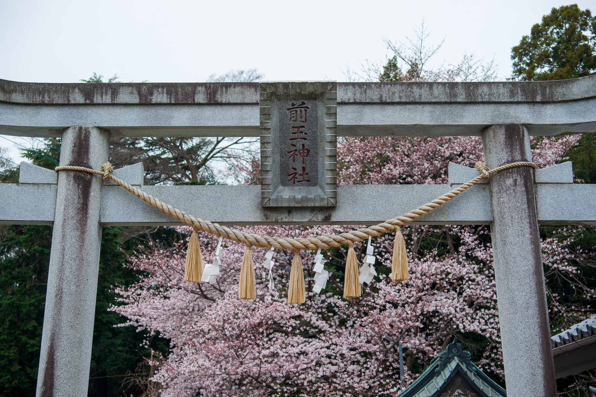 20220329_前玉神社２