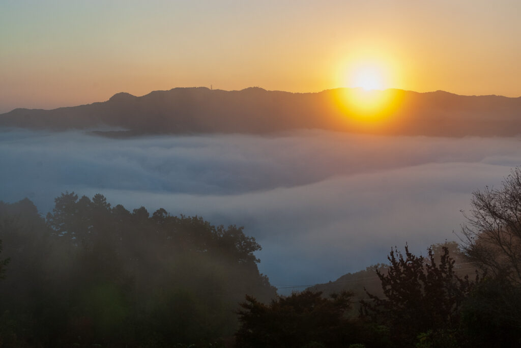 20221103_宝登山ロープウェイ_雲海４