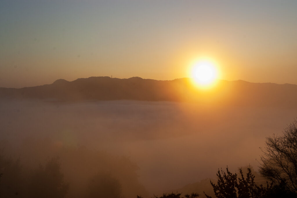 20221103_宝登山ロープウェイ_雲海５