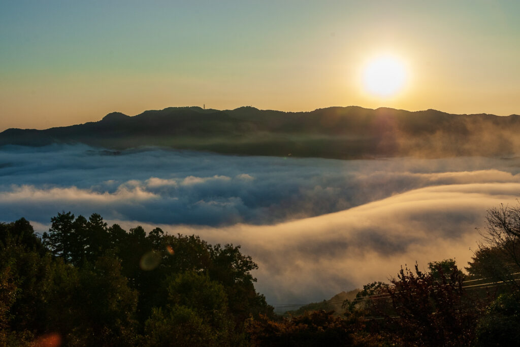 20221103_宝登山ロープウェイ_雲海６