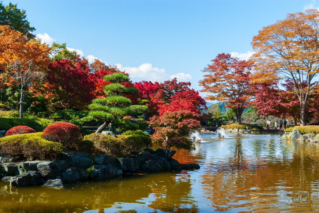 20221103_桜山公園_紅葉１