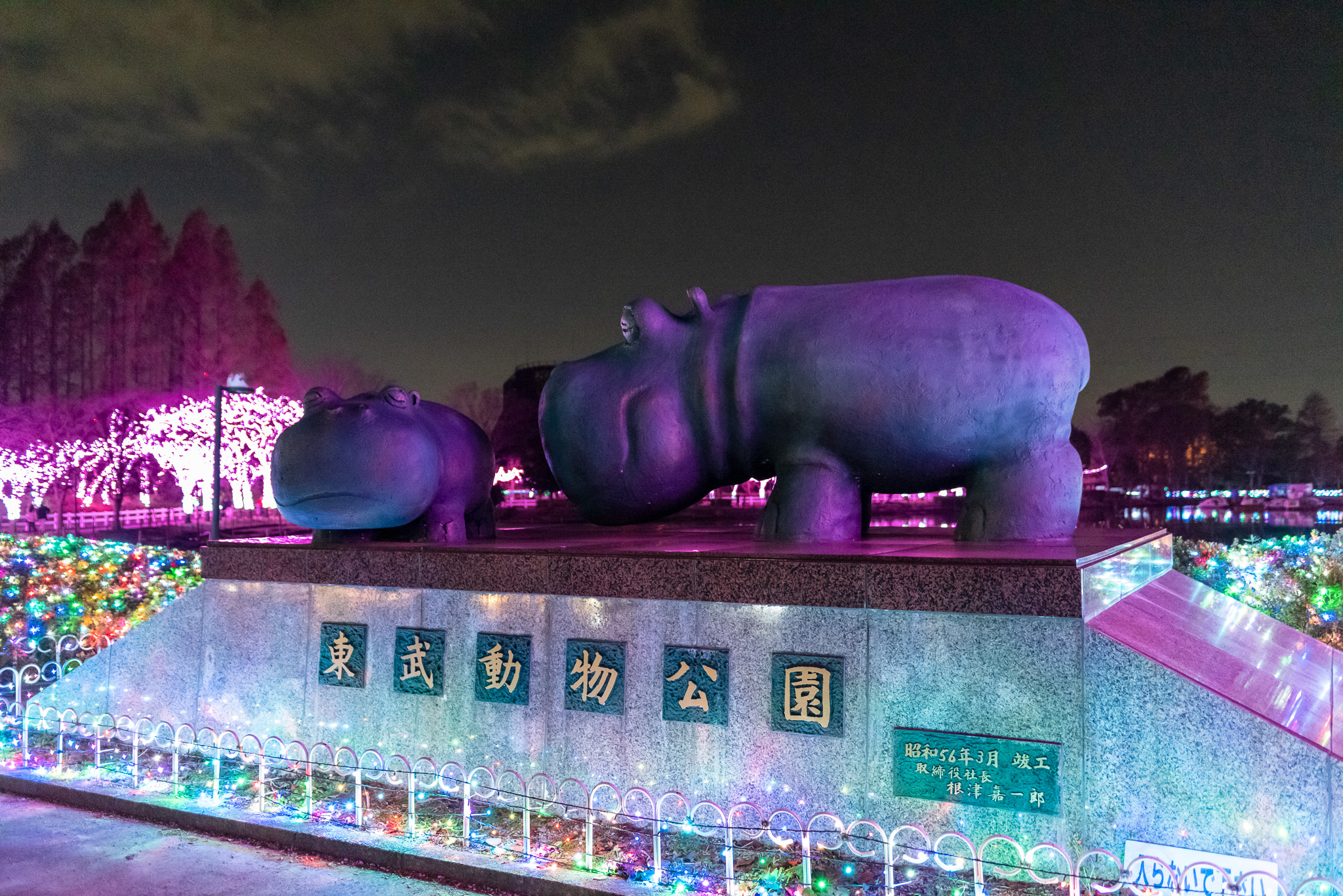 20221210_東武動物公園_イルミネーション１２