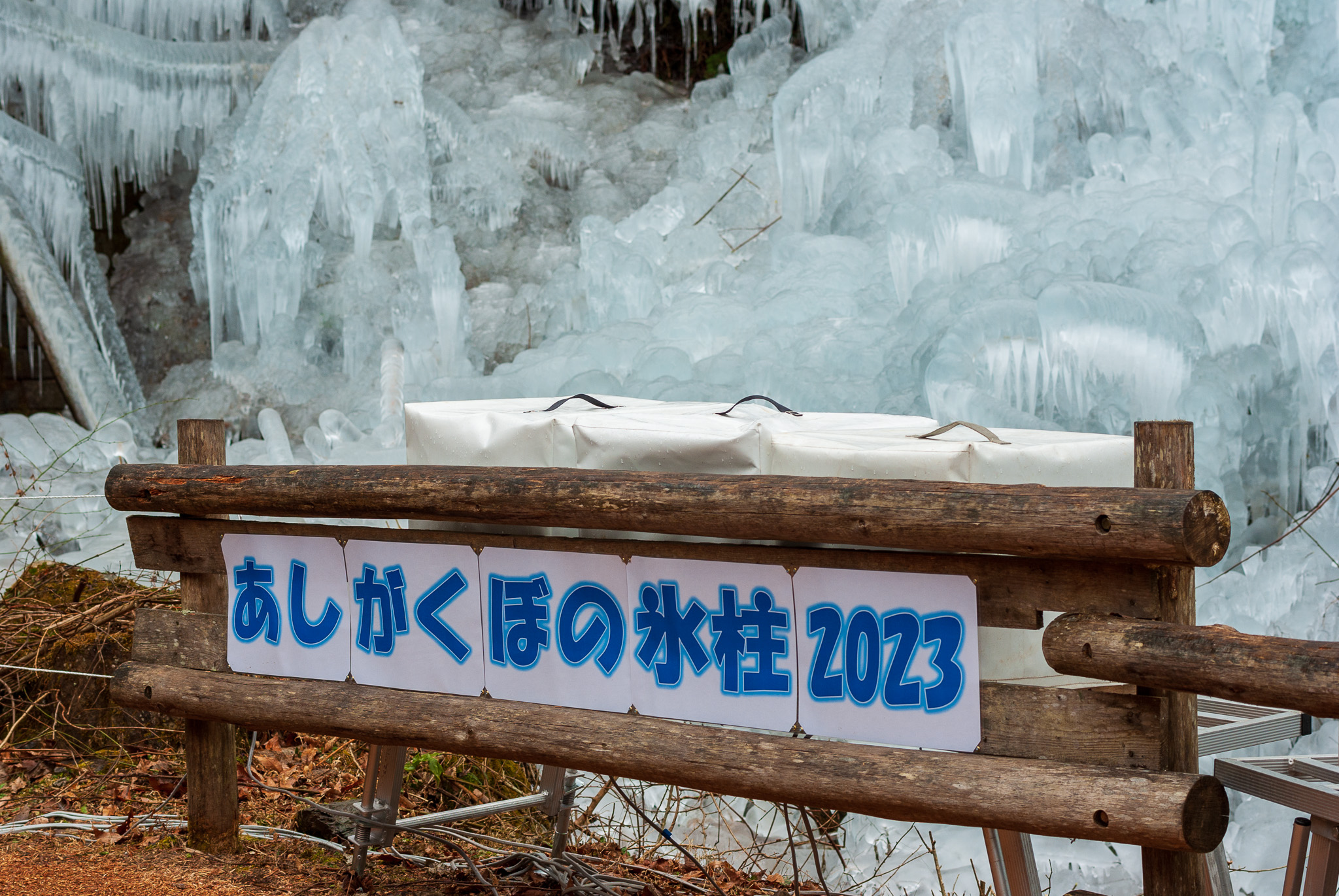 20230114_あしがくぼの氷柱１