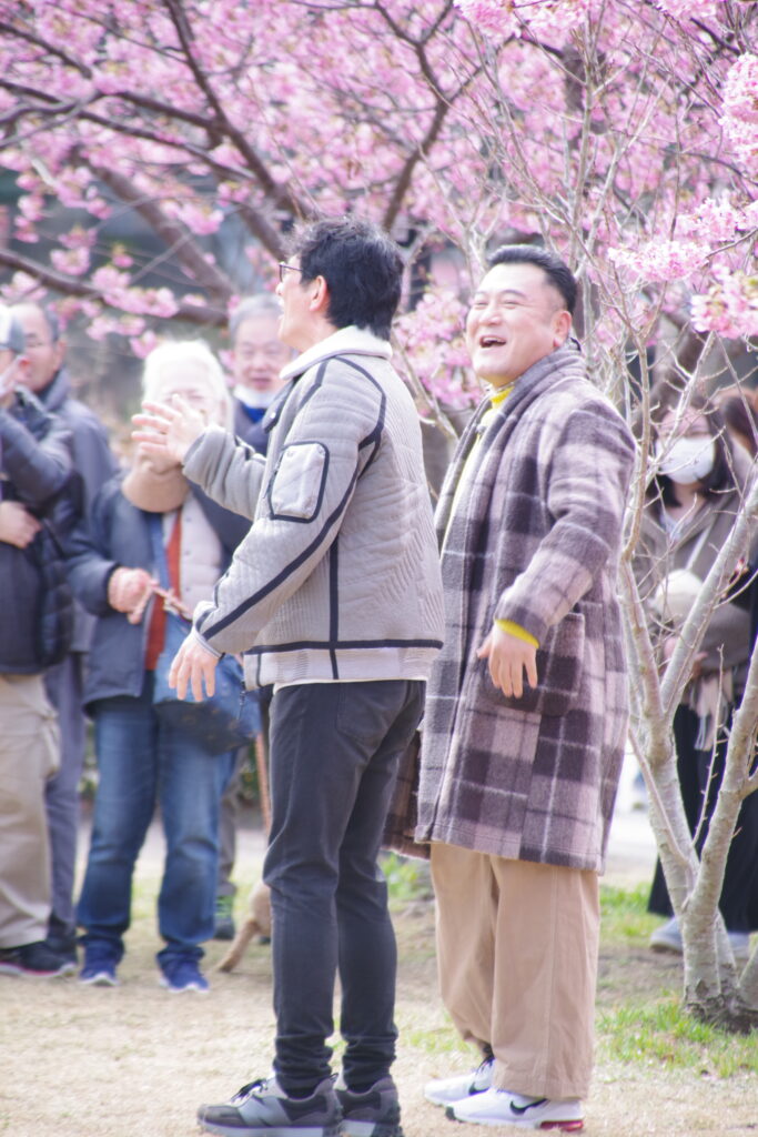 20230223_静岡県河津町_河津桜まつり７