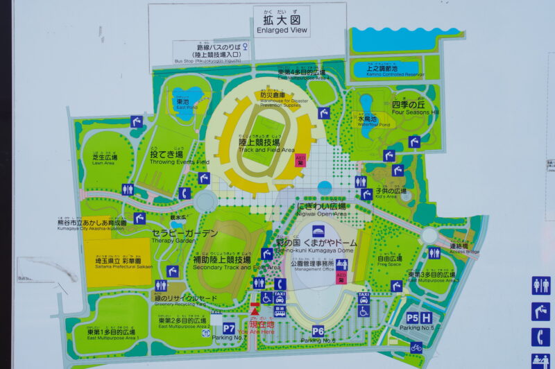 20230820_熊谷スポーツ文化公園_向日葵２