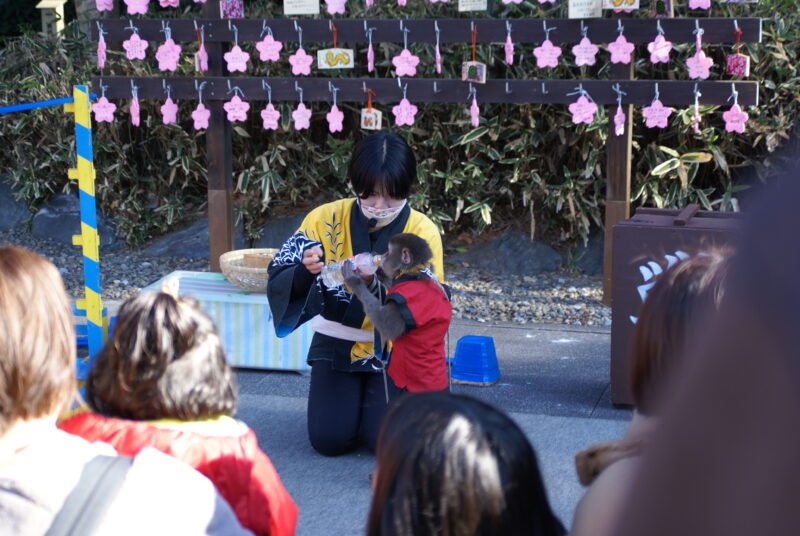 20240106_13_櫻木神社_初詣