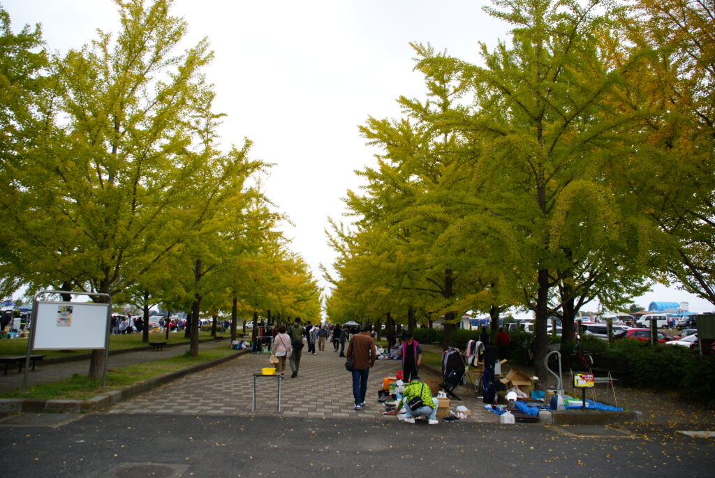 20231105_1_加須はなさき公園_紅葉