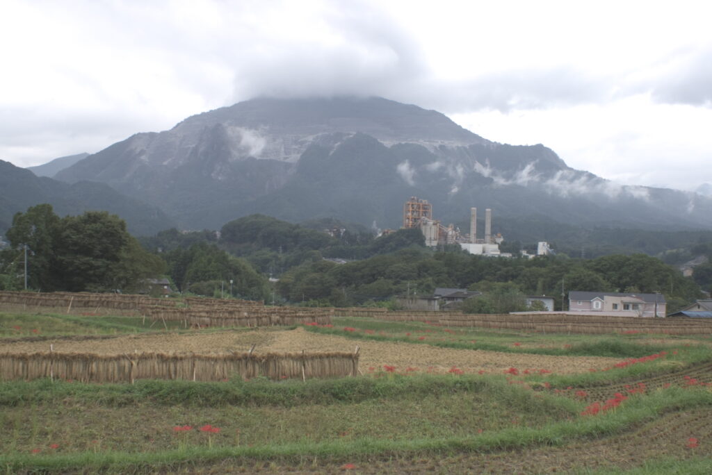 20240929_3_寺坂棚田_彼岸花と棚田