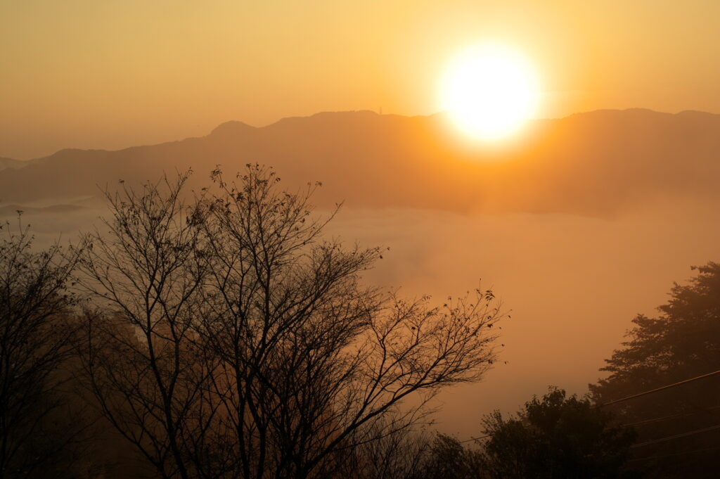 20241013_8_宝登山_雲海