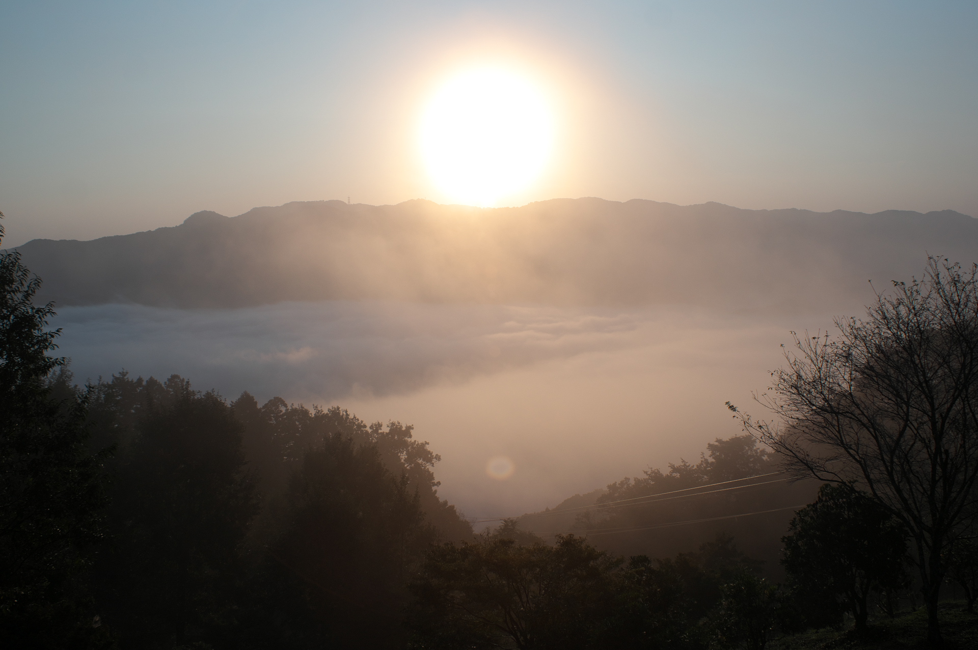 20241013_9_宝登山_雲海