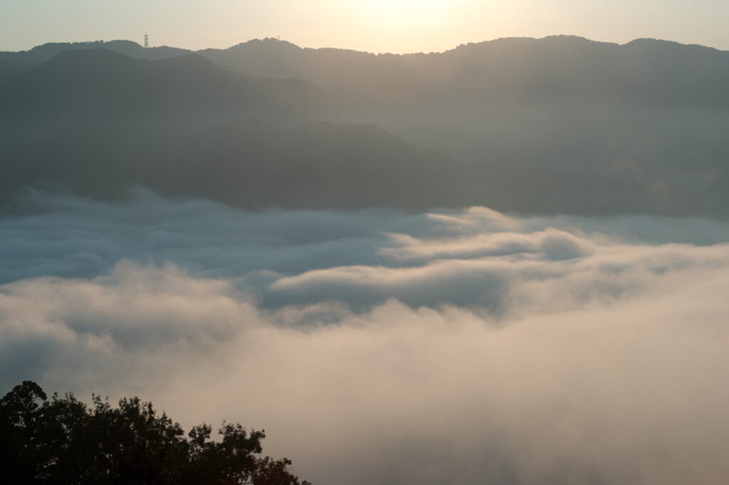 20241013_10_宝登山_雲海