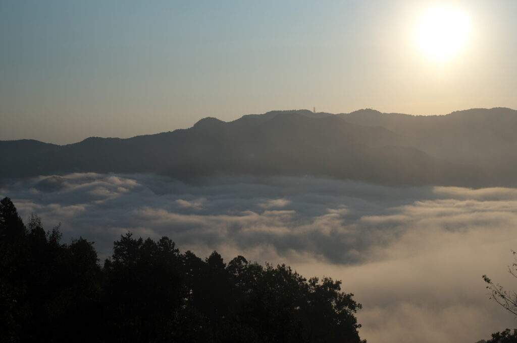 20241013_11_宝登山_雲海